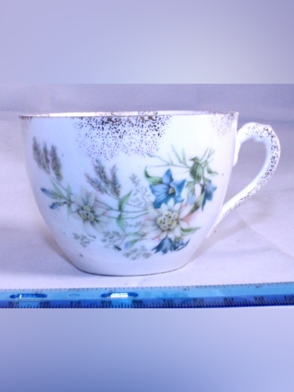 Antique Carl Tielsch Altwasser Germany Porcelain Teacup Edelweiss Alpine Blue